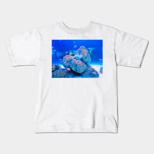 clownfish, anemonefish, aquarium, fish, ocean, sea, aquatic, anemone, clown fish, colorful, clown, coral, water, marine, tropical fish Kids T-Shirt